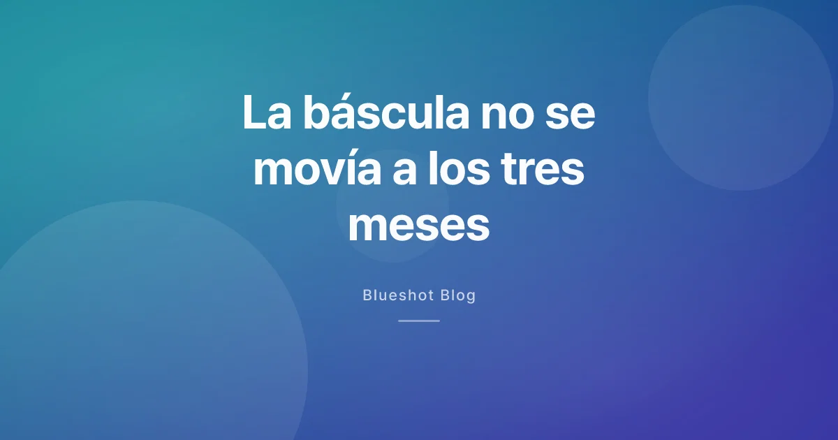 Tres meses con la pluma y la báscula sin moverse: qué dicen los datos sobre responder tarde